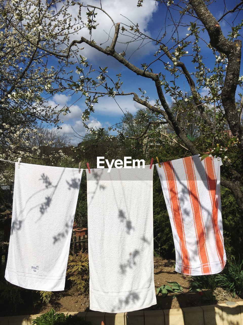 Towels drying on clothesline during sunny day