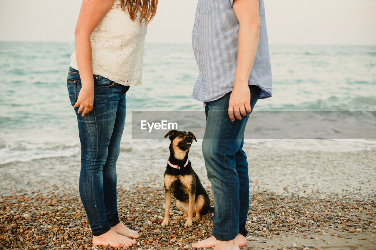 MIDSECTION OF WOMAN WITH DOG AT BEACH