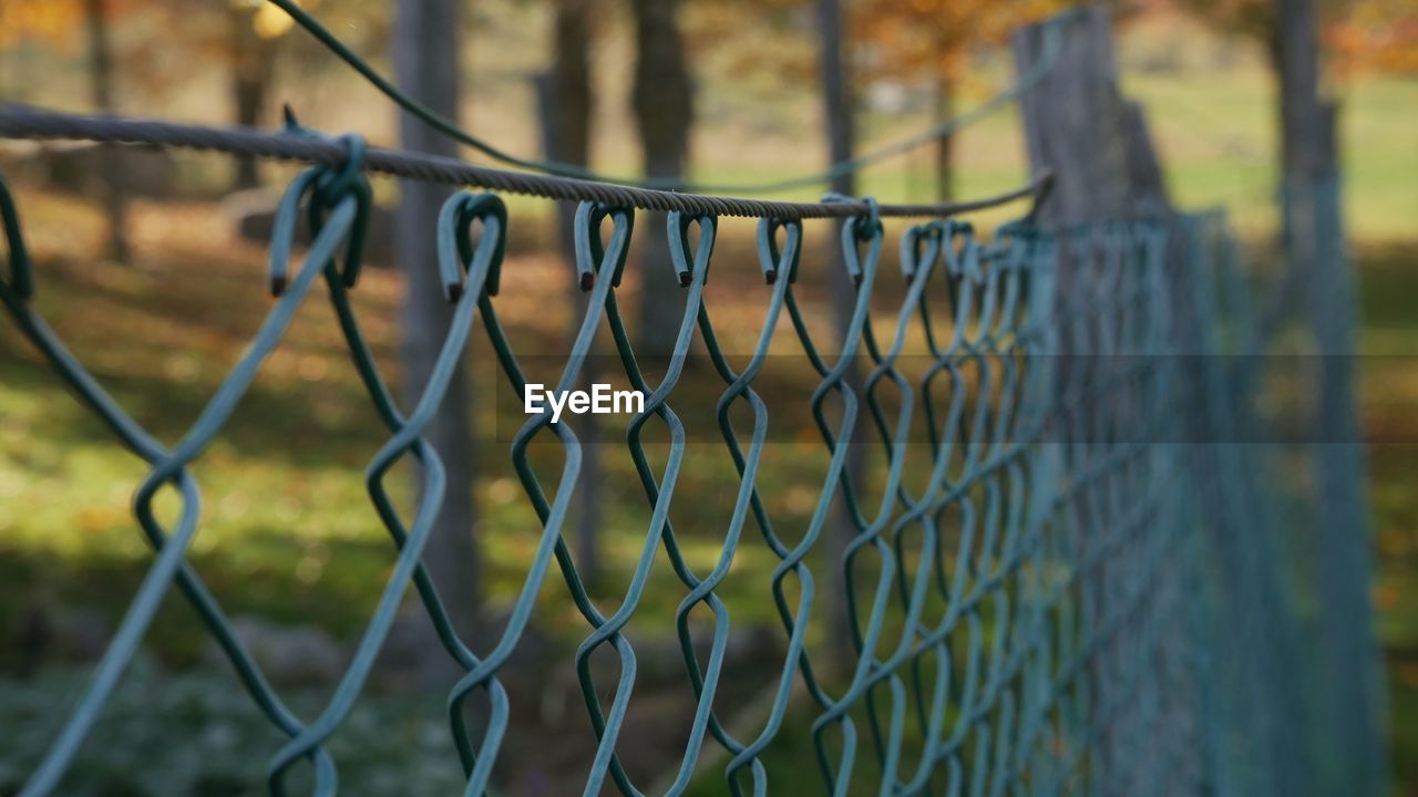 fence, leaf, sunlight, security, green, protection, chainlink fence, branch, metal, no people, outdoor structure, autumn, focus on foreground, nature, grass, day, home fencing, outdoors, tree, sports, wire, close-up, selective focus, plant, chain-link fencing, wire mesh