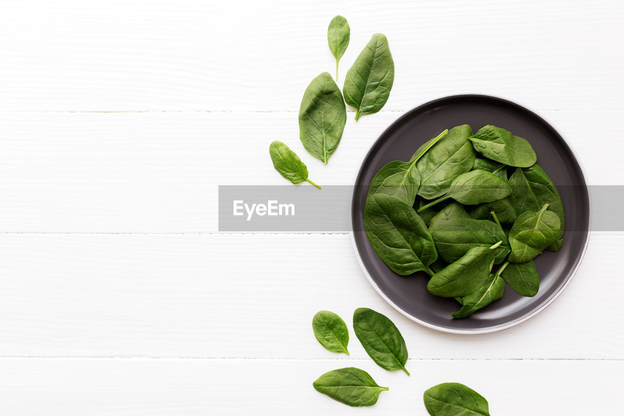 Bowl with fresh green salad leaves of spinach on a white background. healthy vegetarian eating