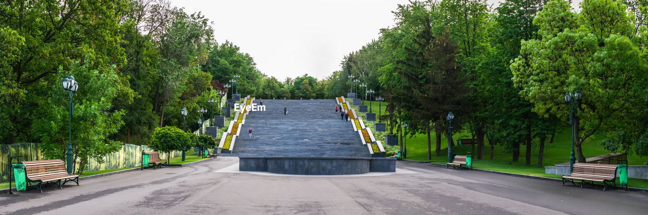 EMPTY STREET AMIDST TREES AGAINST SKY