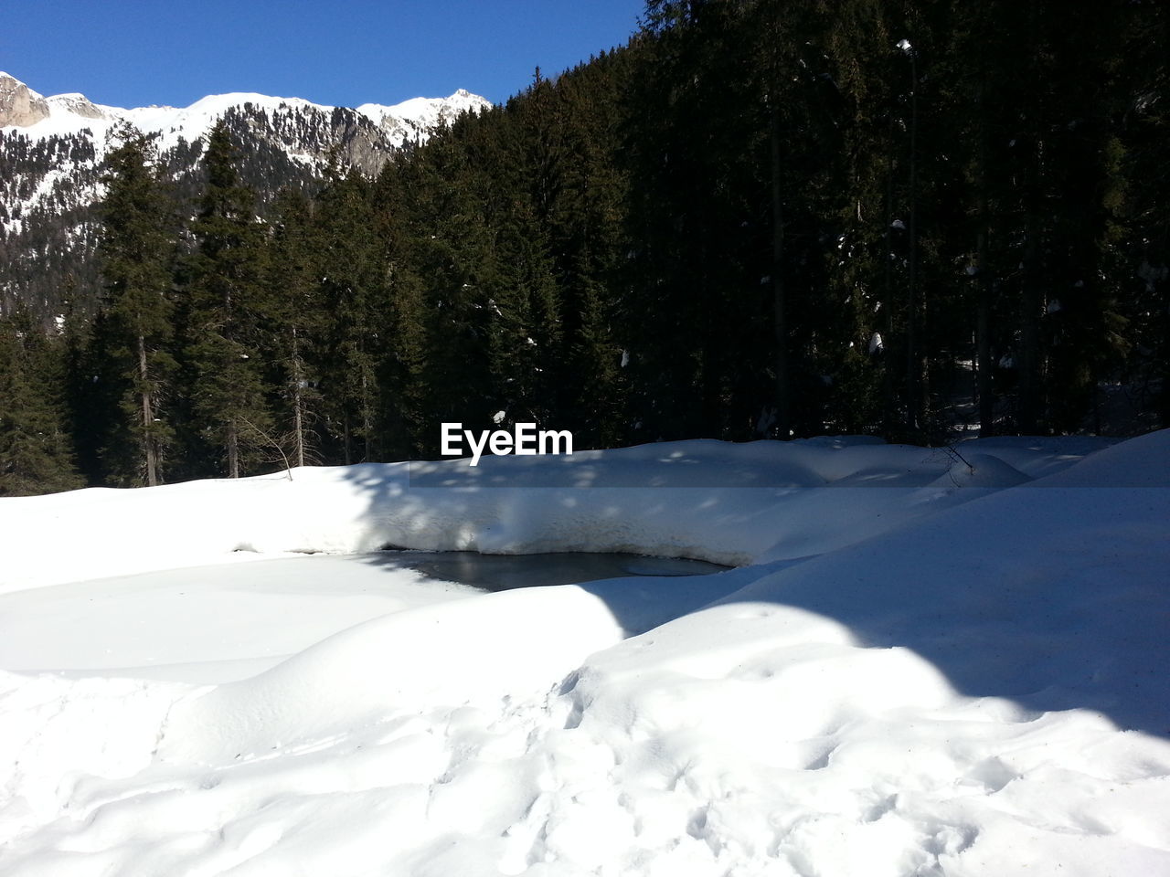 Frozen lake in forest