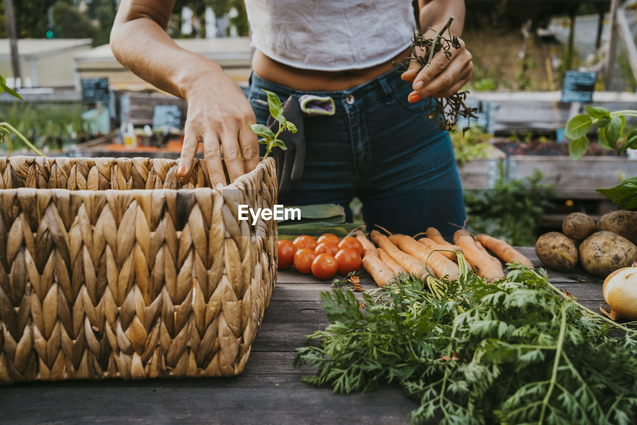 Midsection of female volunteer with vegetables at table in farm