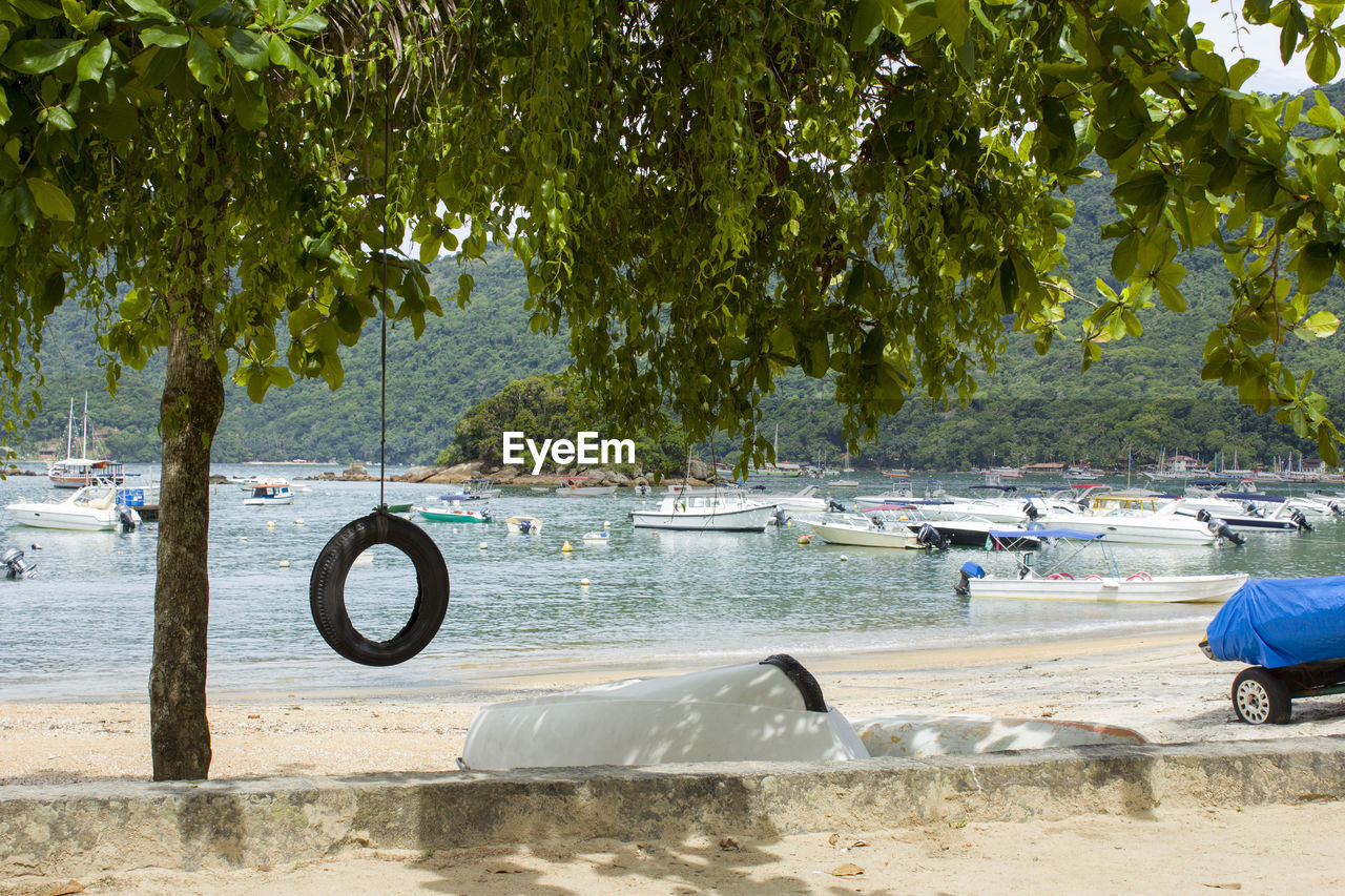 A tire swing on a beach at ilha grande, with boats and a forest on the background