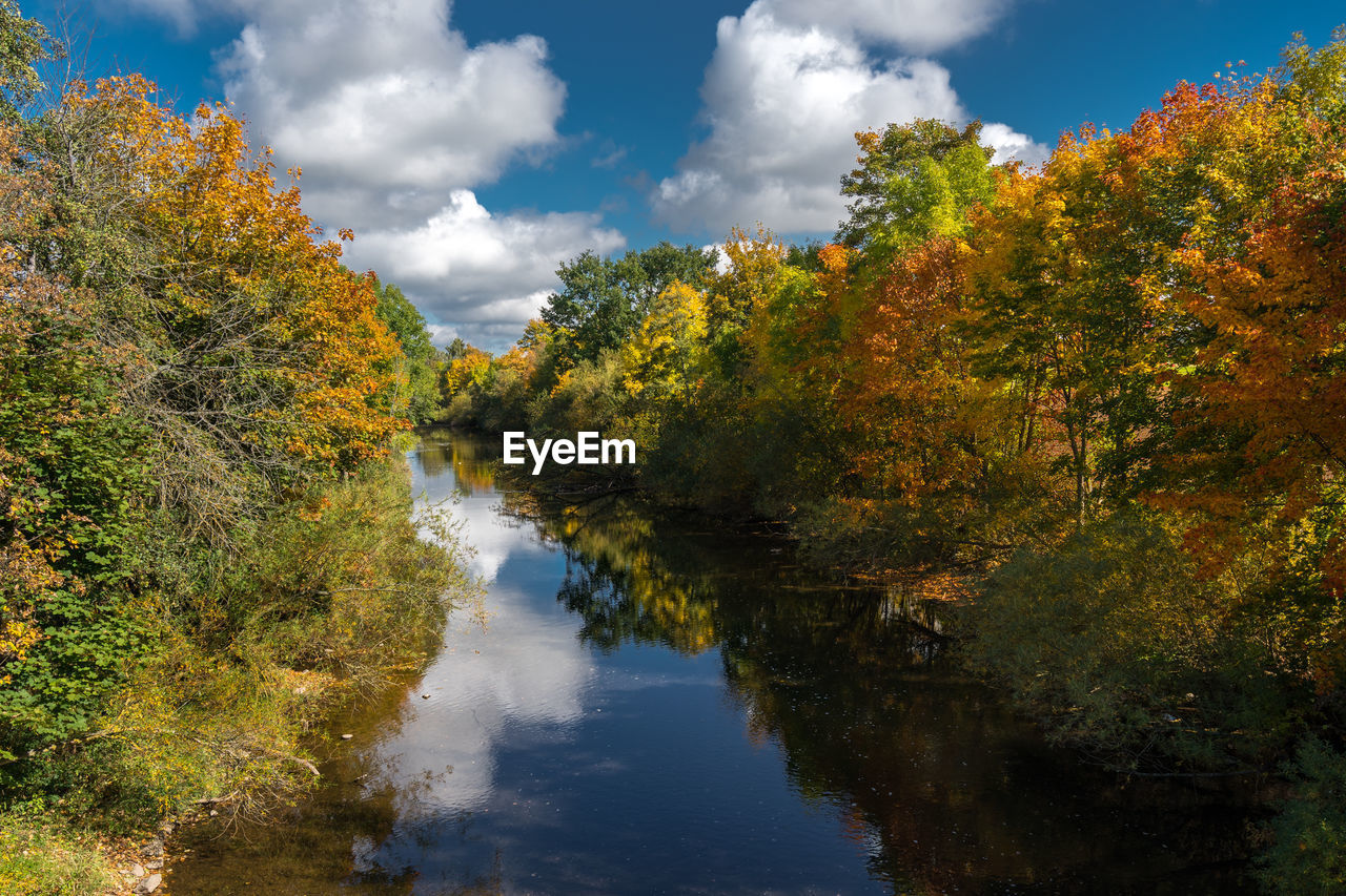 Trees by lake against sky during autumn