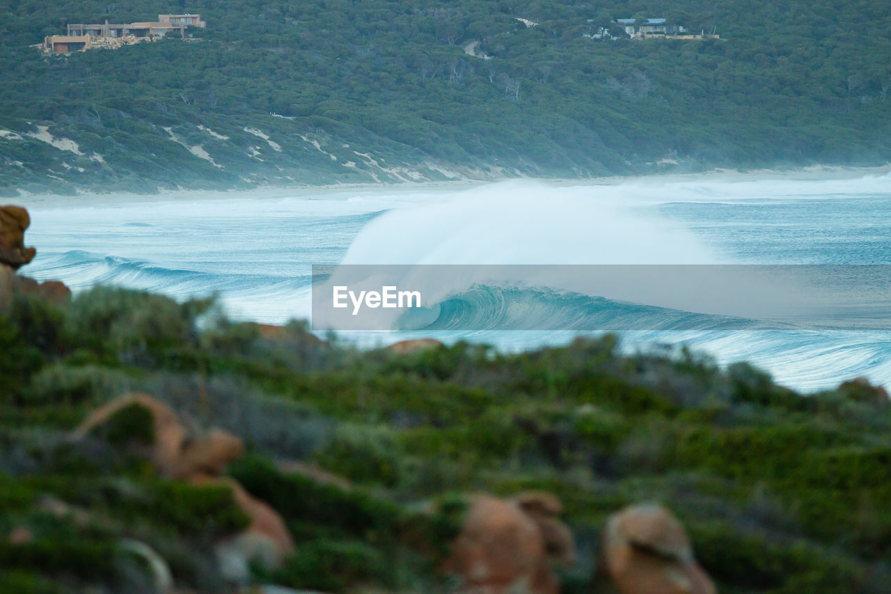 SCENIC VIEW OF BEACH