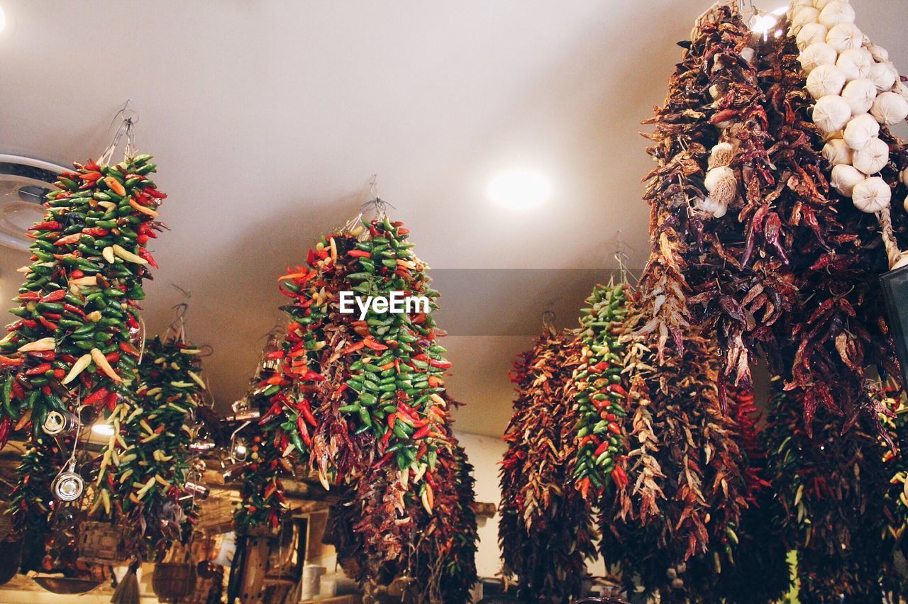 Low angle view of illuminated christmas tree