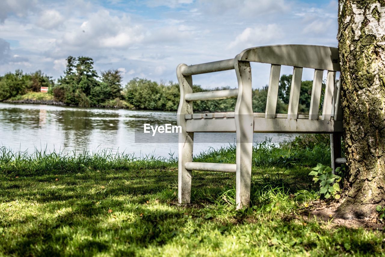 Bench by tree on riverbank