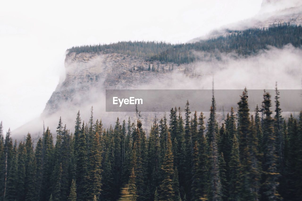 Scenic view of mountains against cloudy sky