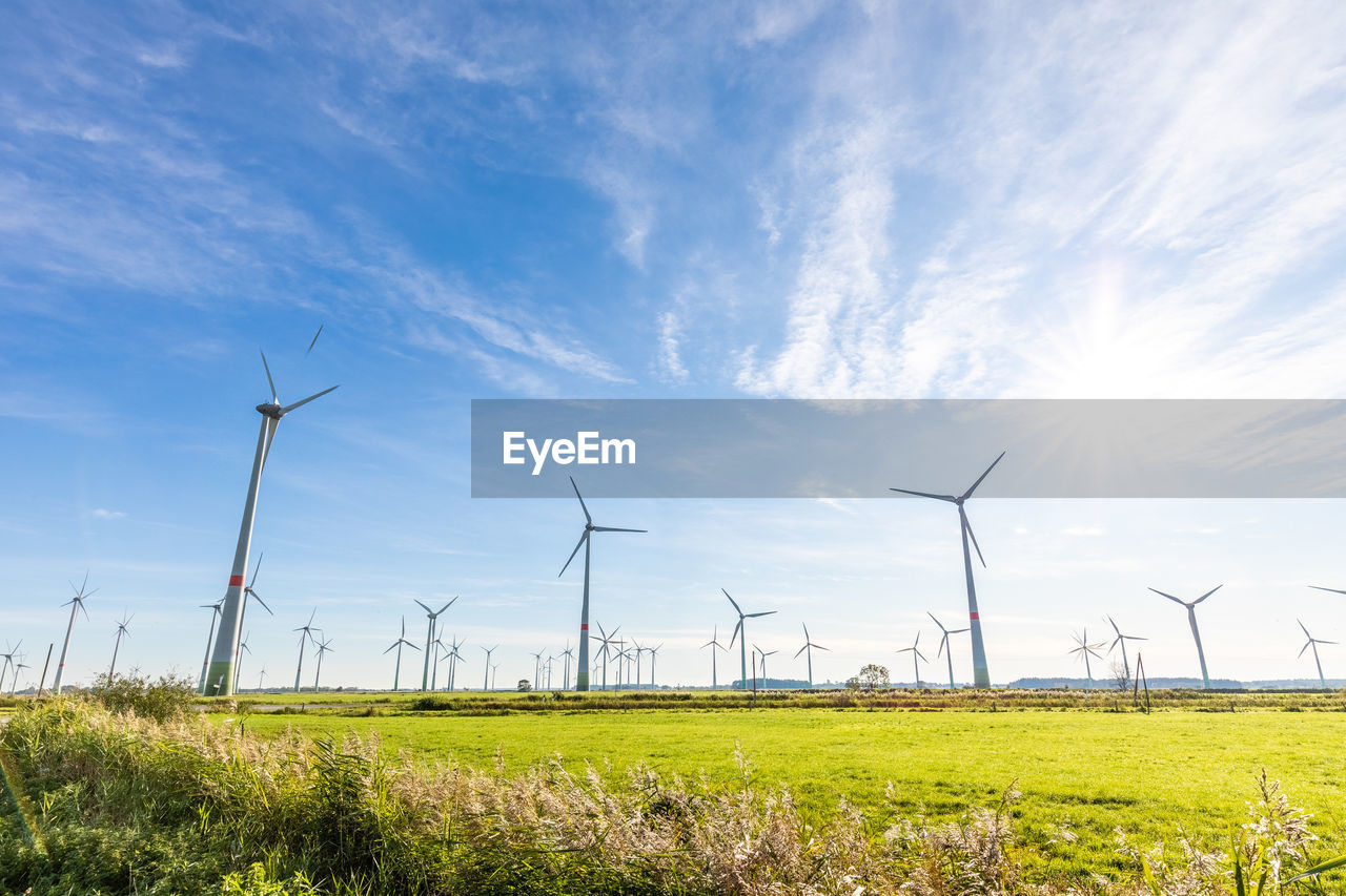 WIND TURBINES ON FIELD