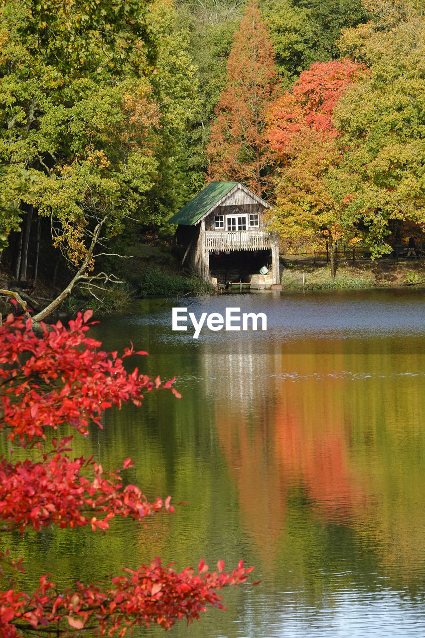 PLANTS BY LAKE DURING AUTUMN