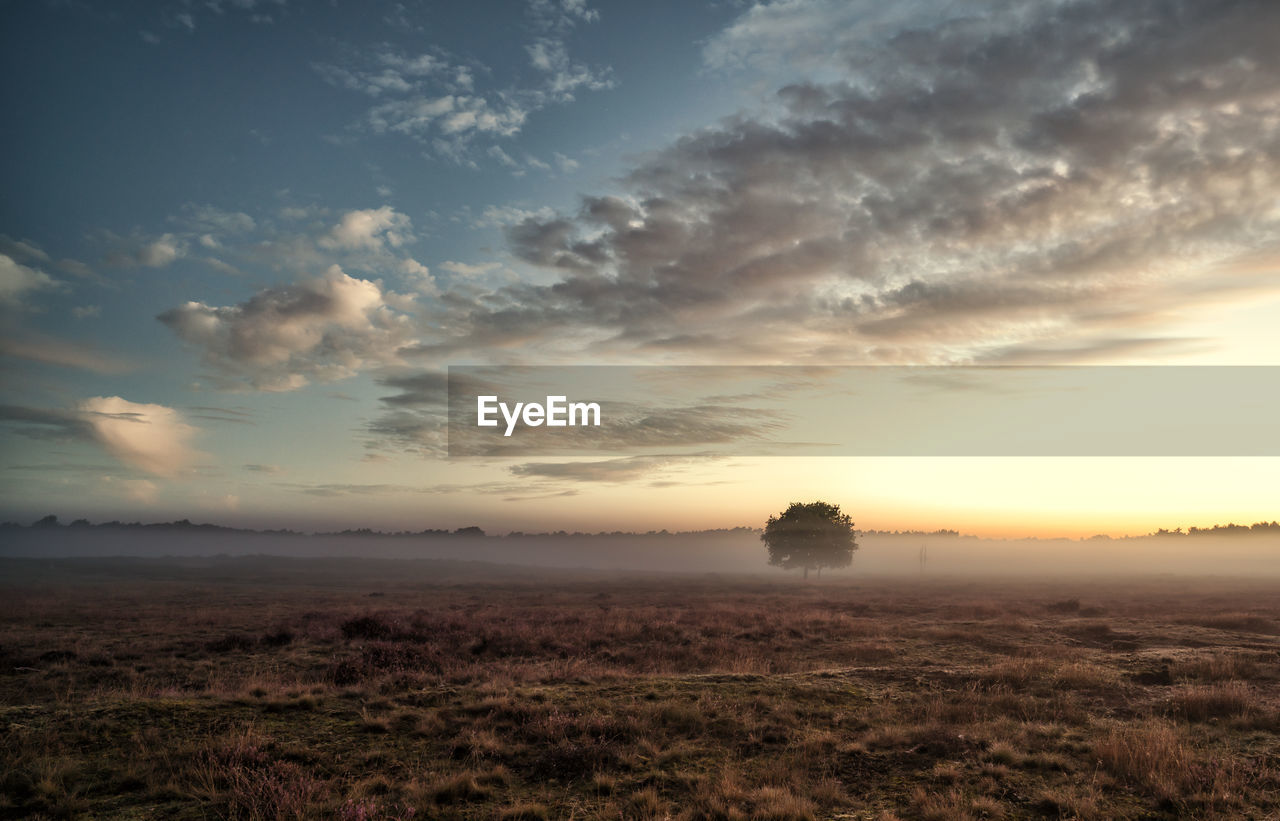 Scenic view of field against sky at sunset