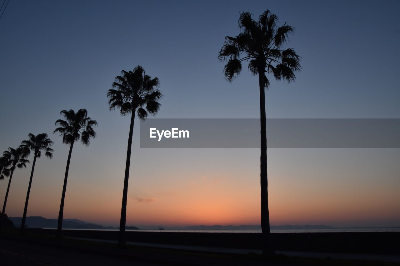 SILHOUETTE PALM TREES AGAINST SKY AT SUNSET