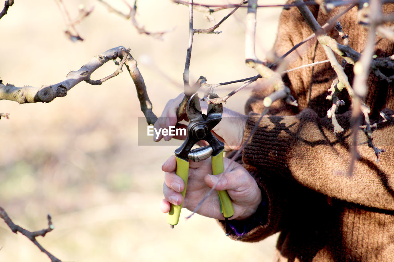 Midsection of person cutting branch