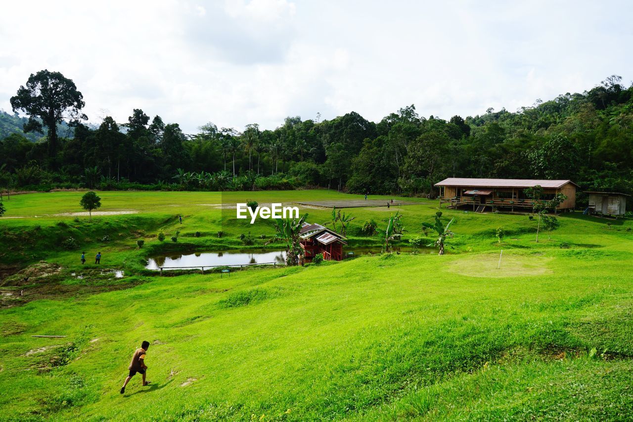 SCENIC VIEW OF GRASSY FIELD AGAINST SKY