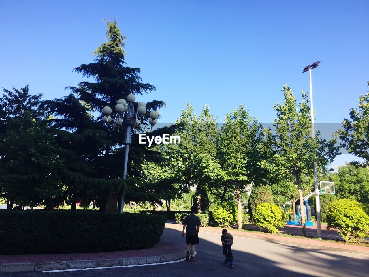 MAN WALKING ON ROAD BY TREES AGAINST CLEAR SKY