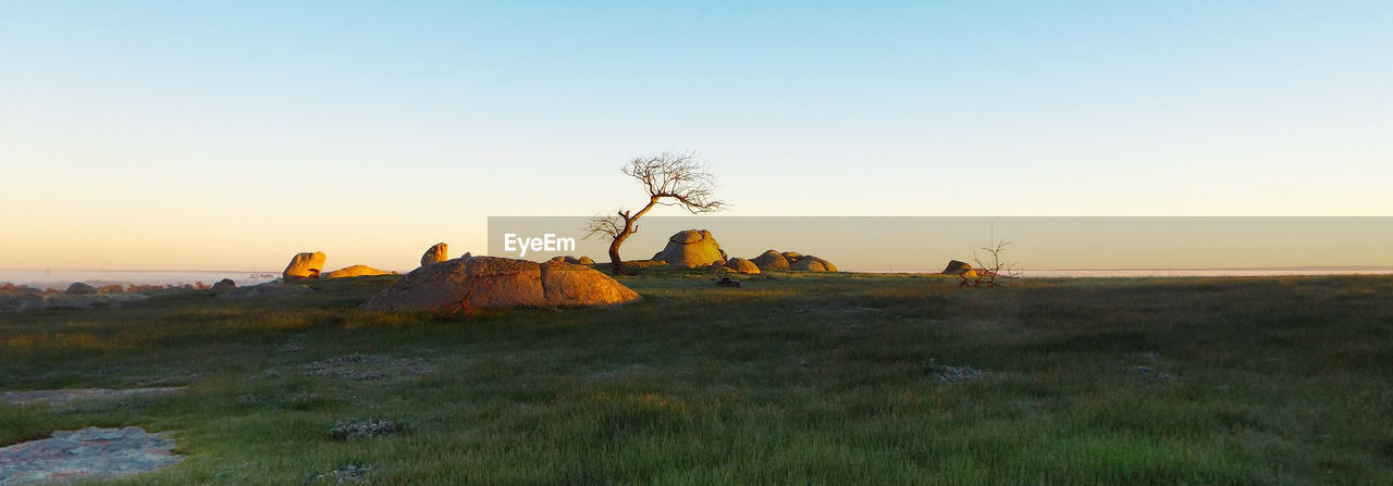 Scenic view of landscape against sky at sunset