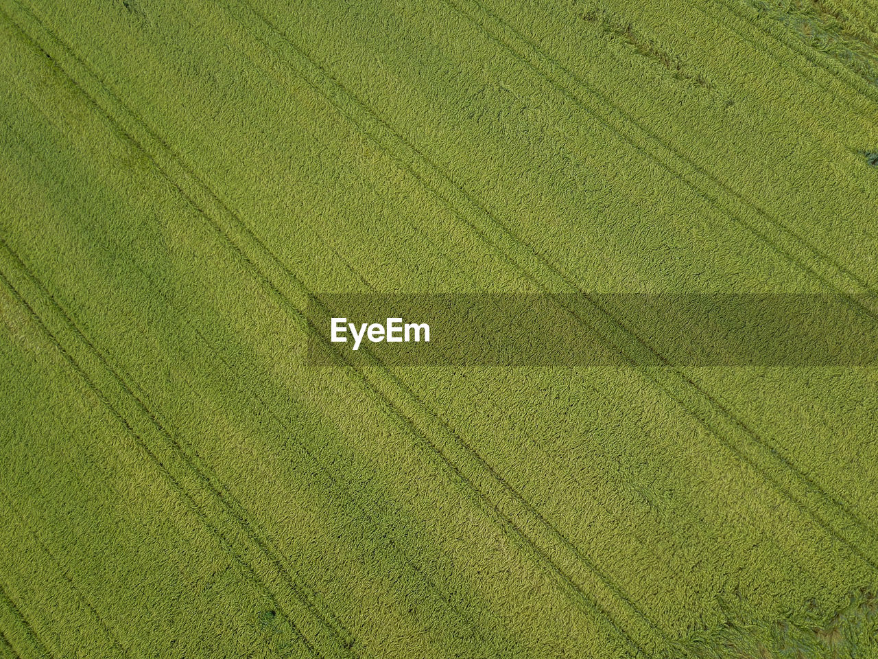 Full frame shot of green field