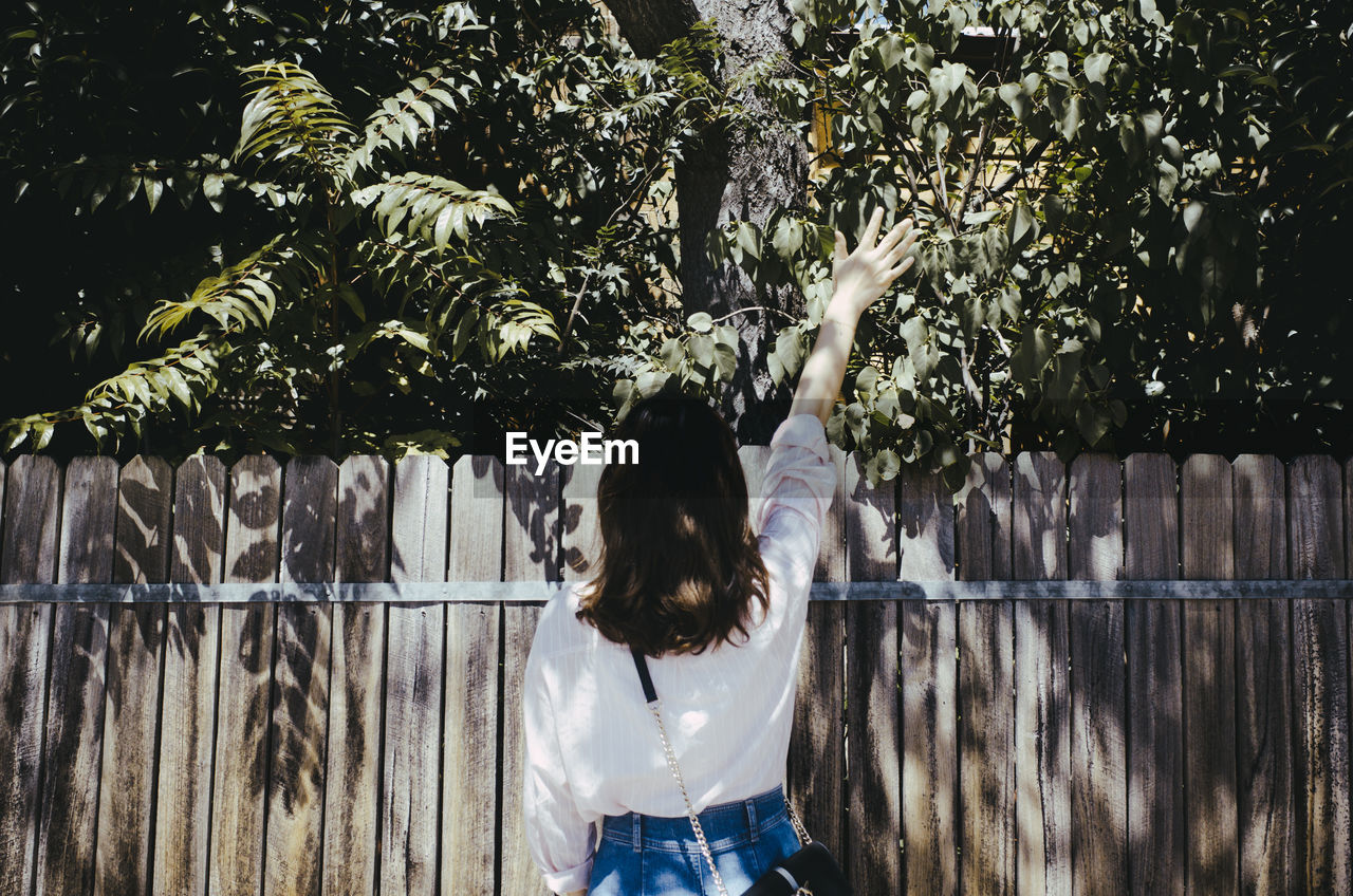 Rear view of young woman reaching towards tree