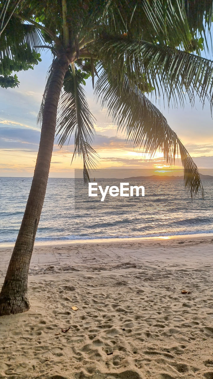 sea, land, beach, water, tree, tropical climate, palm tree, sky, beauty in nature, nature, sand, scenics - nature, tranquility, sunset, body of water, plant, tranquil scene, ocean, horizon over water, shore, idyllic, horizon, holiday, vacation, travel destinations, trip, coconut palm tree, travel, no people, coast, outdoors, tropical tree, sunlight, sun, environment, seascape, island, tropics, tree trunk, cloud, coastline, trunk, motion, relaxation, leaf, wave, tourism, day, palm leaf, landscape