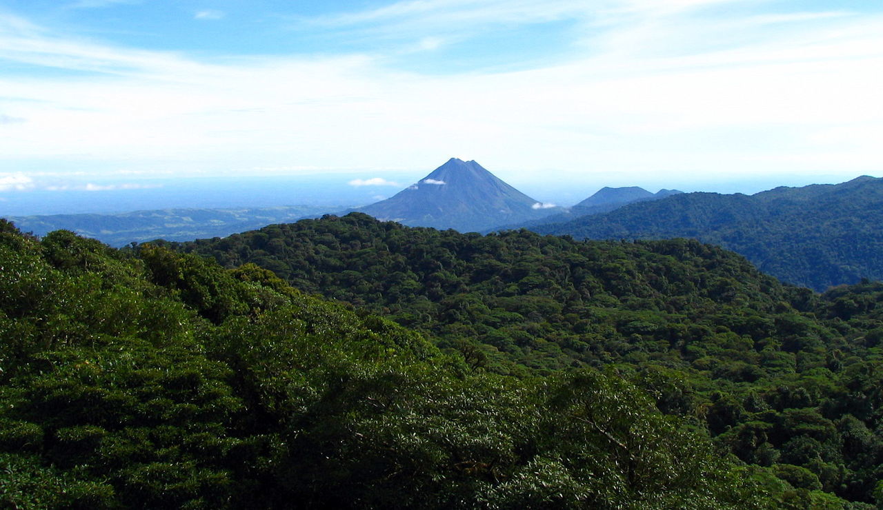 SCENIC VIEW OF GREEN LANDSCAPE AGAINST SKY