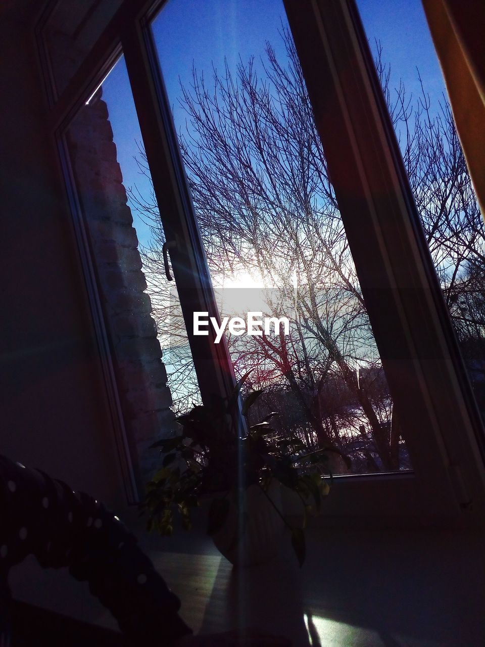 LOW ANGLE VIEW OF WINDOW WITH TREES