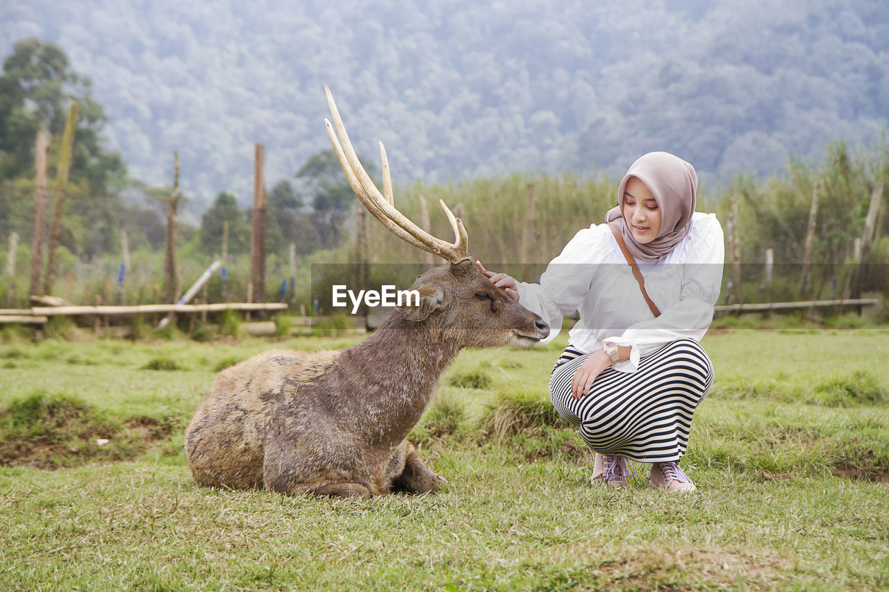 Beautiful asian girl playing and feeding a deer at rancaupas, ciwidey, bandung, indonesia