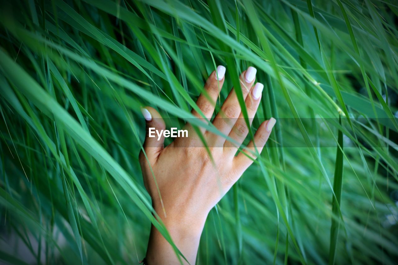 Low section of woman on grass