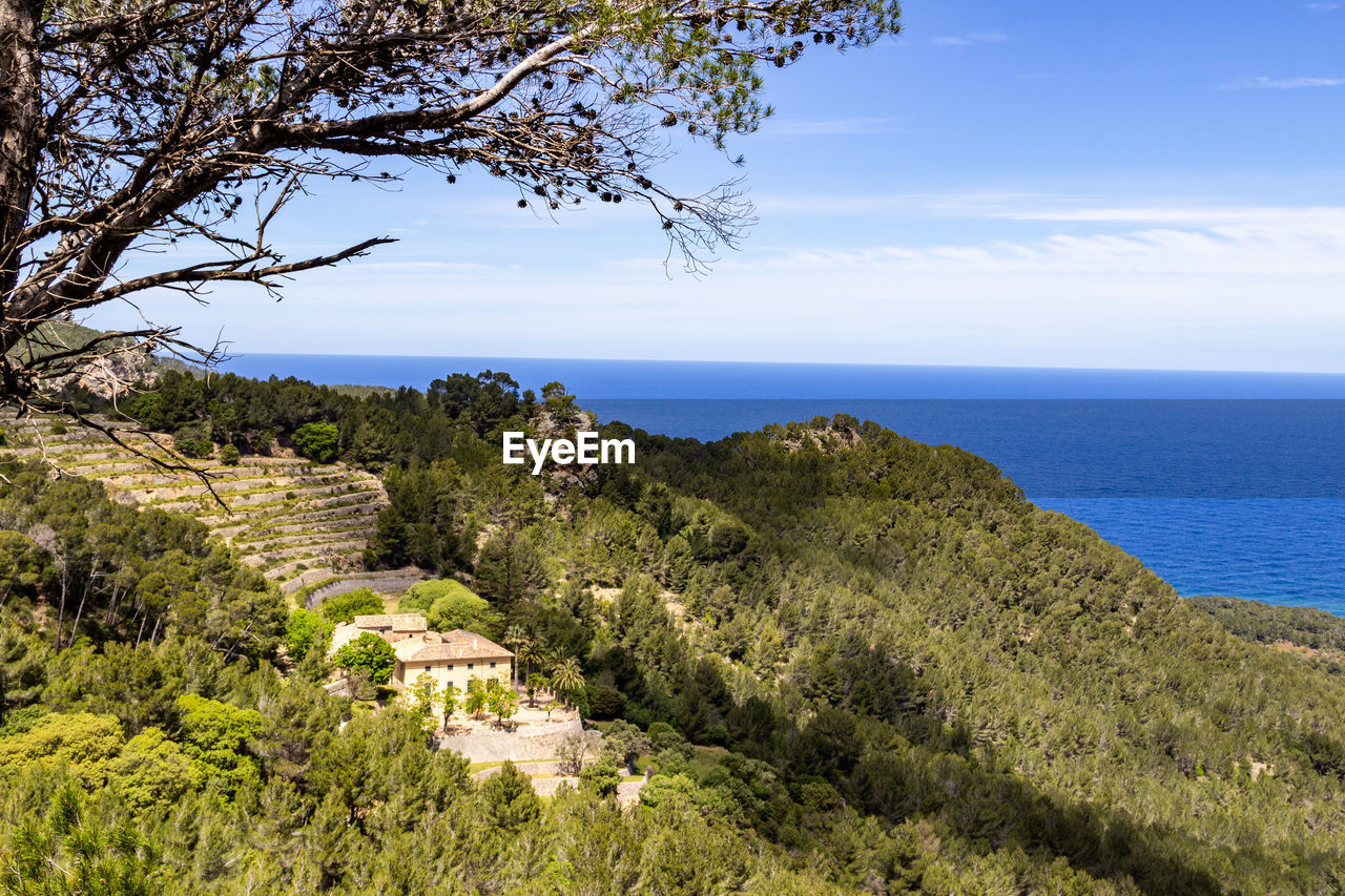 Scenic view at the coastline in the north of mallorca between valldemossa and bayalbufar