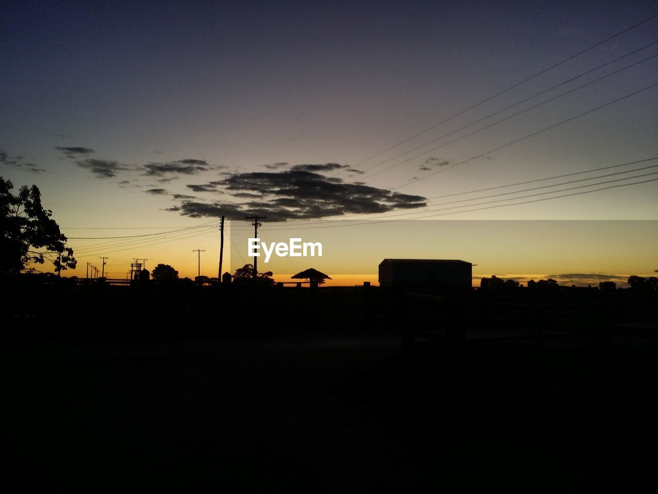 SILHOUETTE TREES AND ELECTRICITY PYLONS AGAINST CLEAR SKY