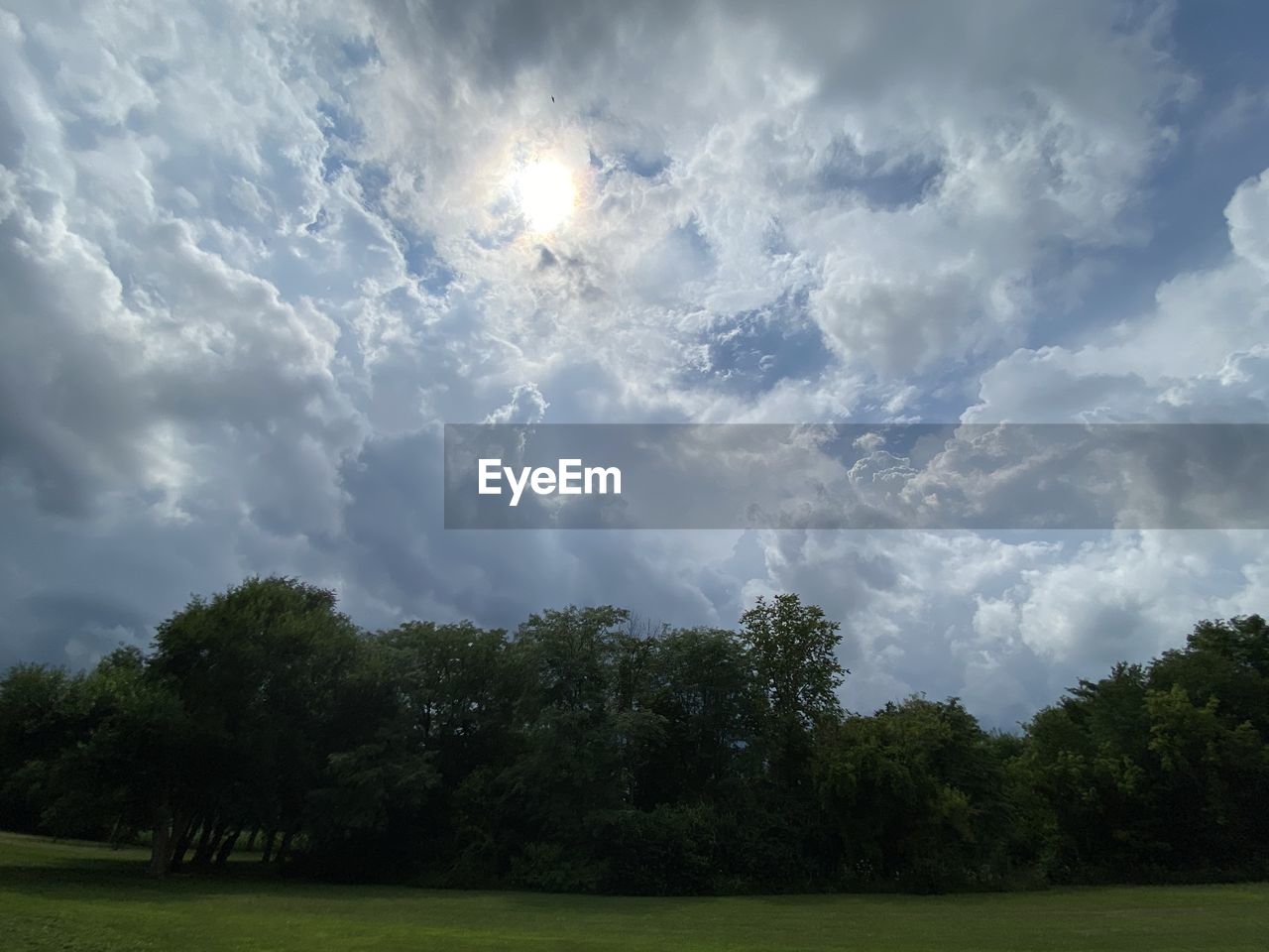 SCENIC VIEW OF TREES AGAINST SKY