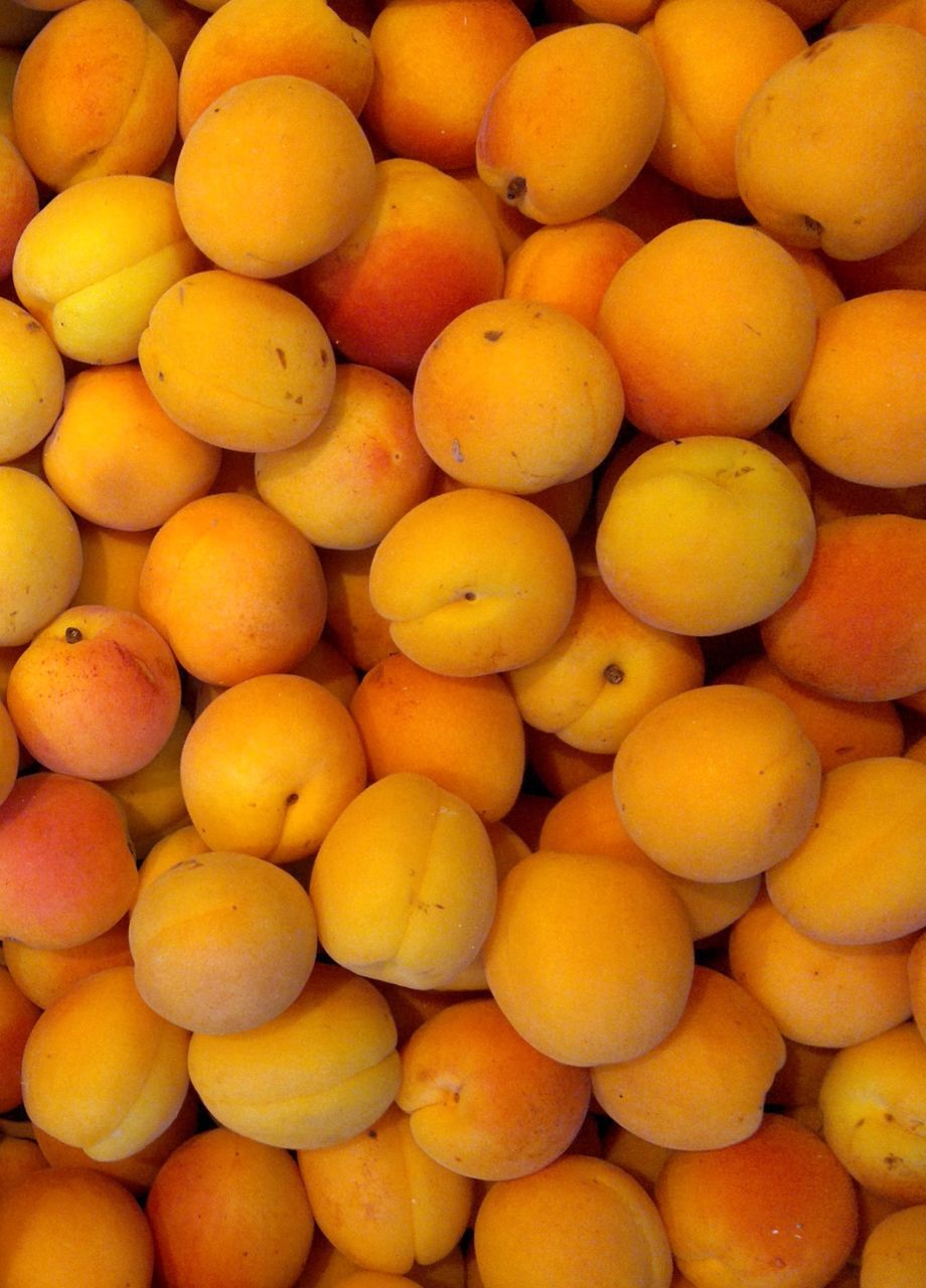 High angle view of apricots for sale at market stall