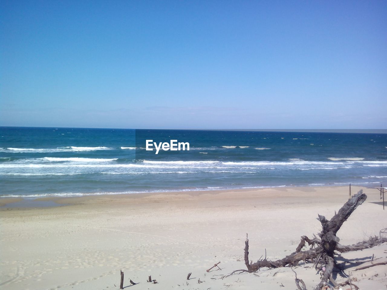 SCENIC VIEW OF BEACH AGAINST CLEAR SKY