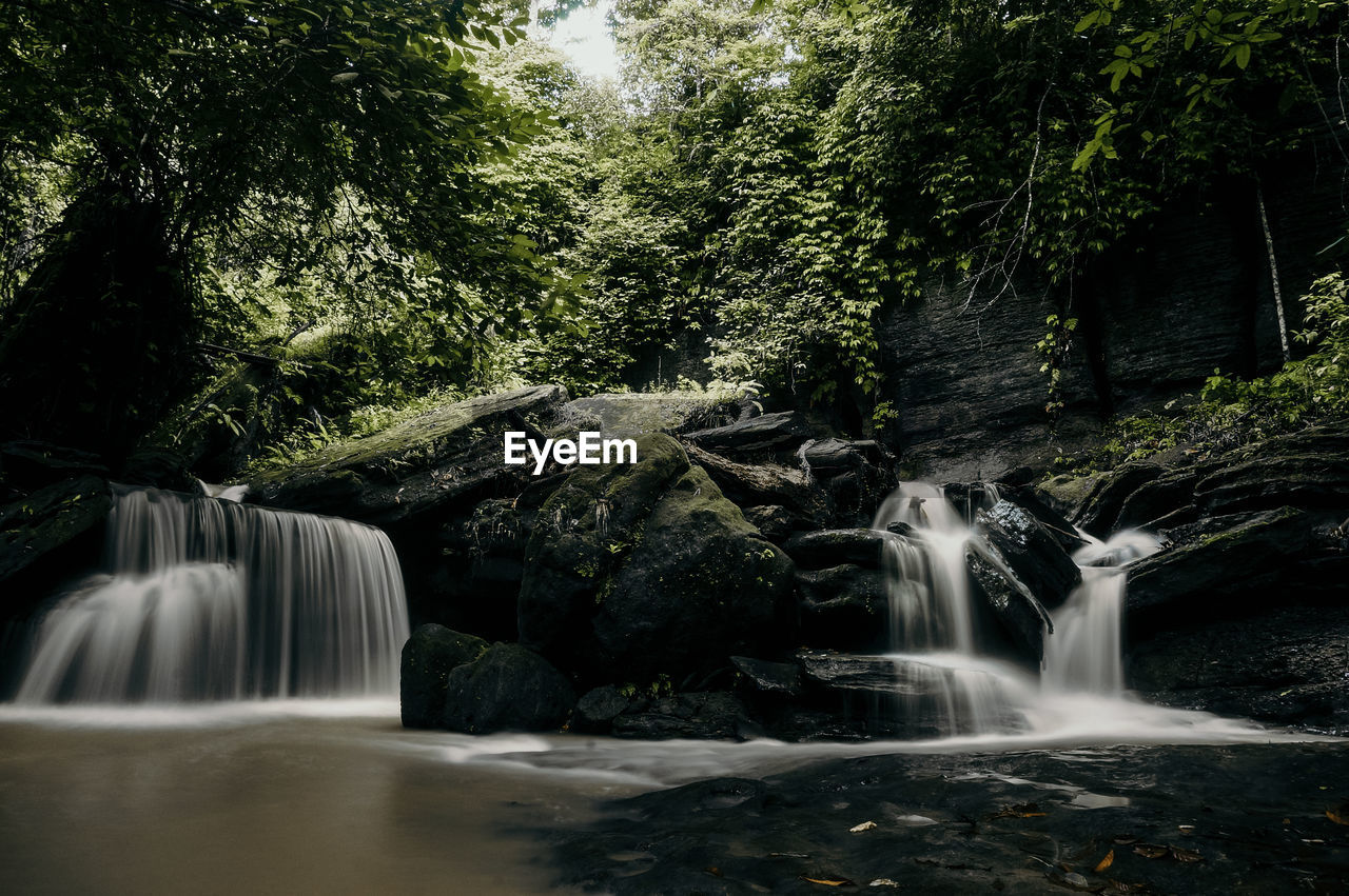 VIEW OF WATERFALL IN FOREST