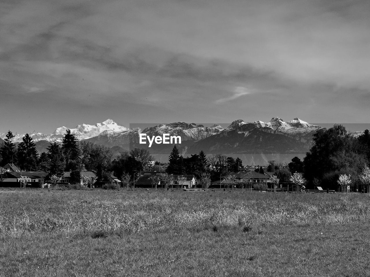 plant, black and white, landscape, tree, environment, sky, mountain, monochrome, scenics - nature, monochrome photography, land, beauty in nature, nature, cloud, field, snow, grass, no people, tranquility, horizon, tranquil scene, mountain range, rural area, winter, growth, rural scene, outdoors, non-urban scene, day, cold temperature