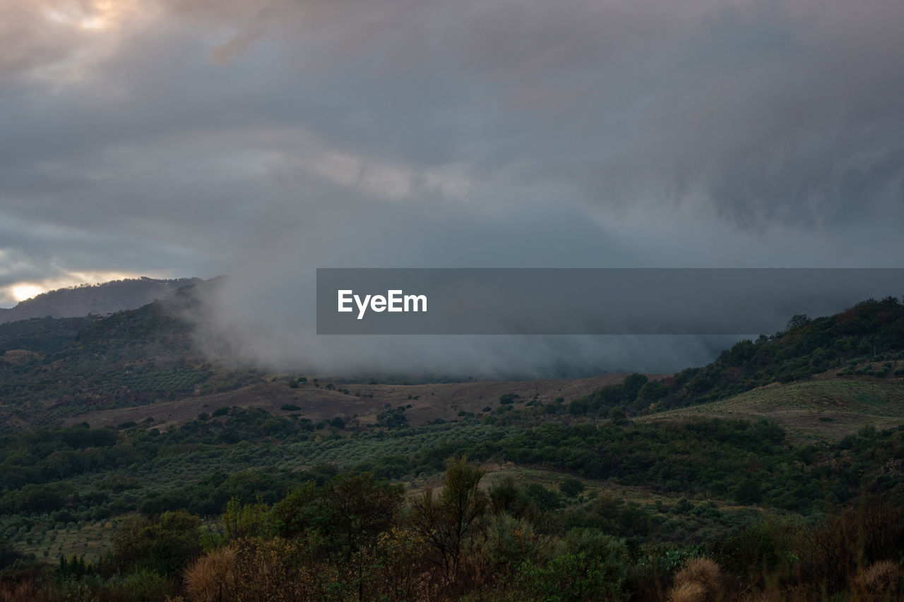 environment, cloud, landscape, mountain, sky, beauty in nature, nature, scenics - nature, land, fog, plant, morning, no people, non-urban scene, wilderness, tree, travel destinations, outdoors, mist, travel, tourism, forest, geology, social issues, tranquility, day