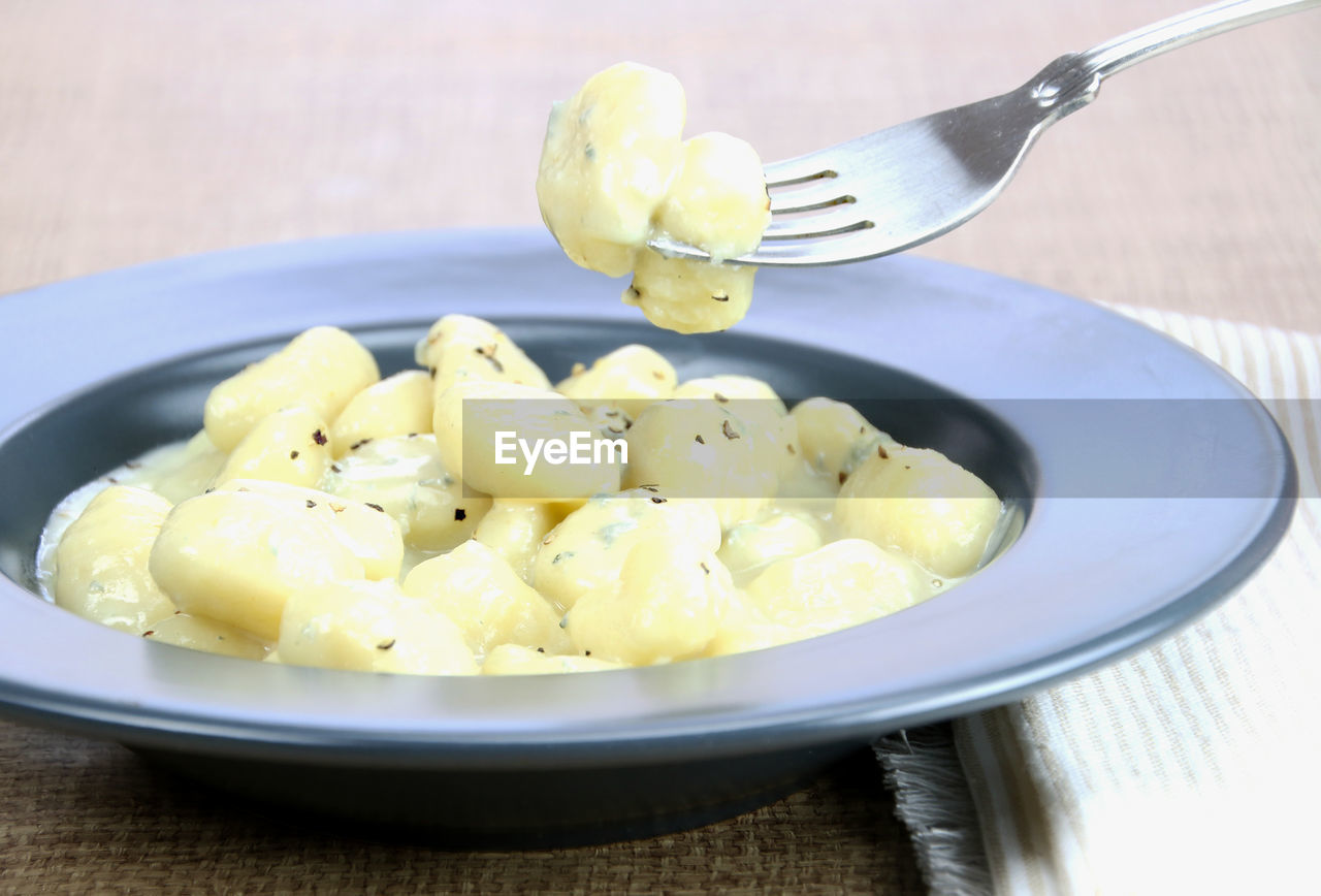 A plate with gnocchi with gorgonzola cheese.