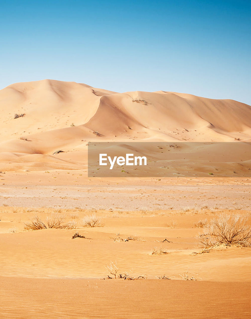 View of sand dunes in desert against clear sky