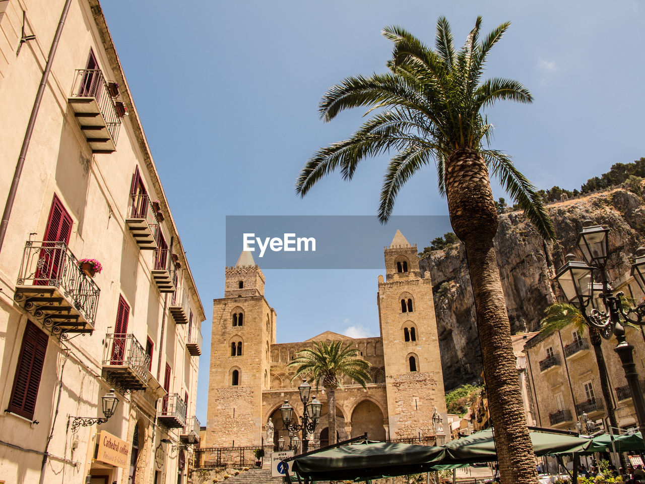 Low angle view of palm trees and cathedral against sky