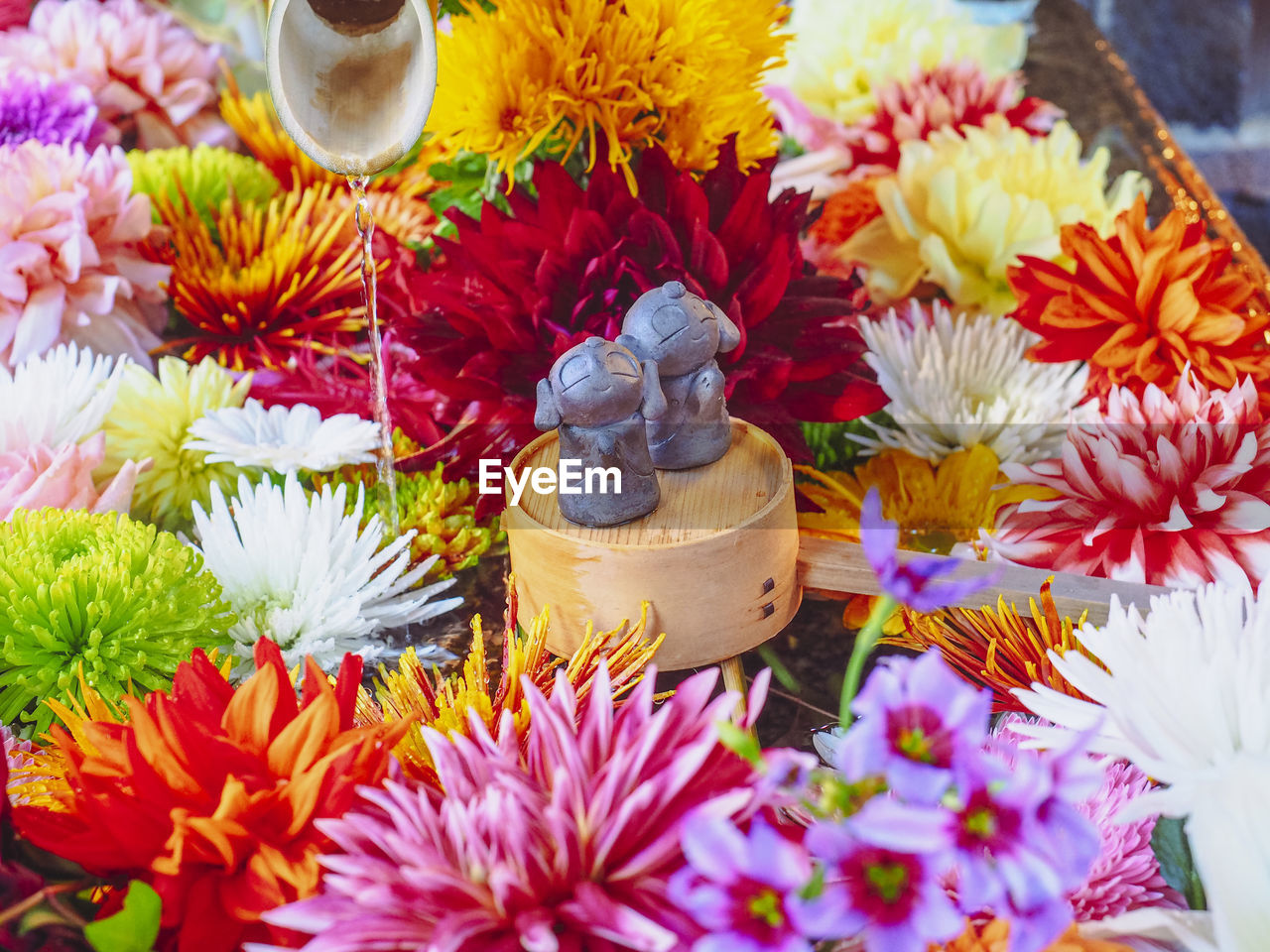 CLOSE-UP OF MULTI COLORED FLOWERS ON TABLE