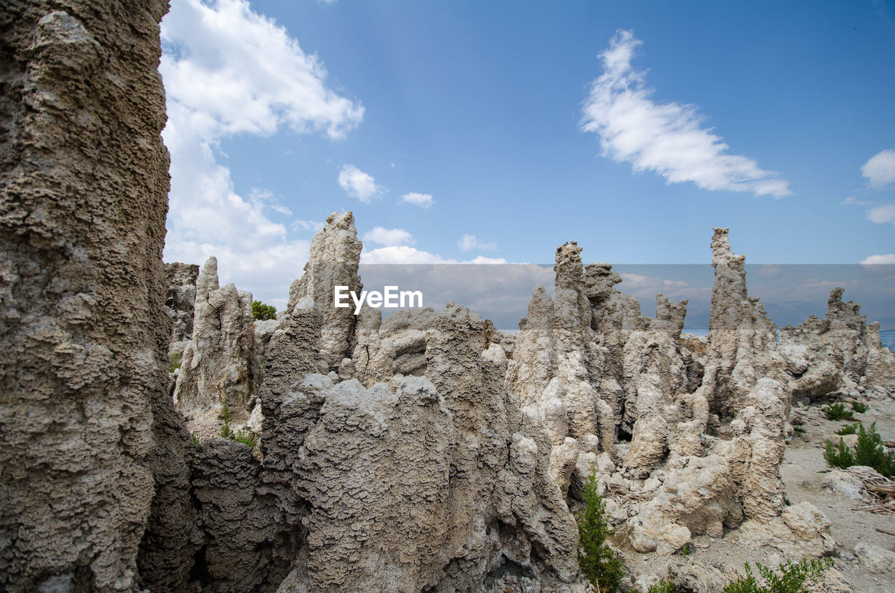 LOW ANGLE VIEW OF PLANTS AGAINST ROCK FORMATION