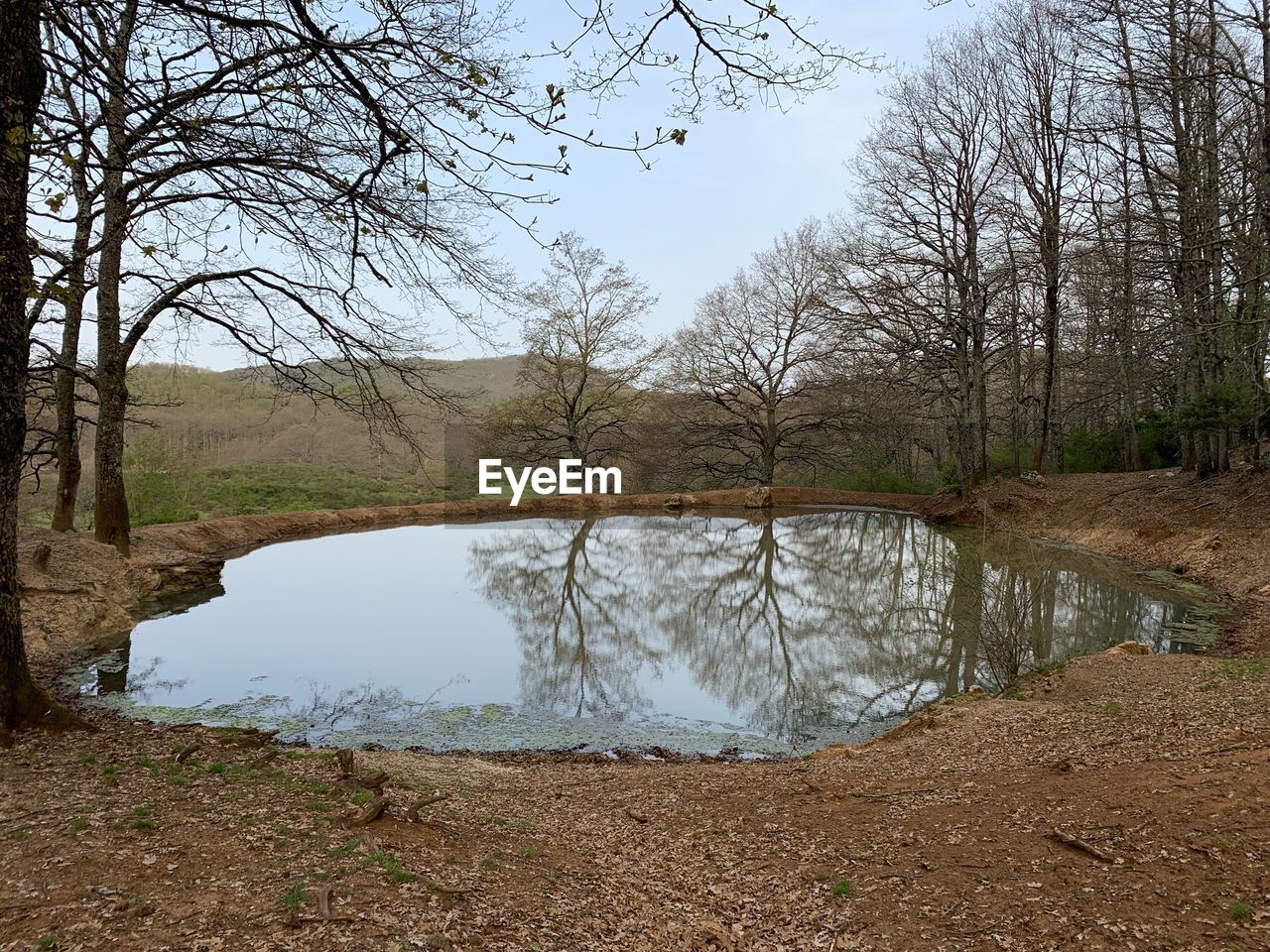 REFLECTION OF TREES IN LAKE WATER