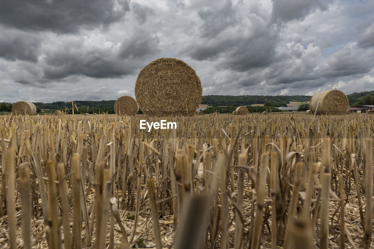 hay bales on field against cloudy sky