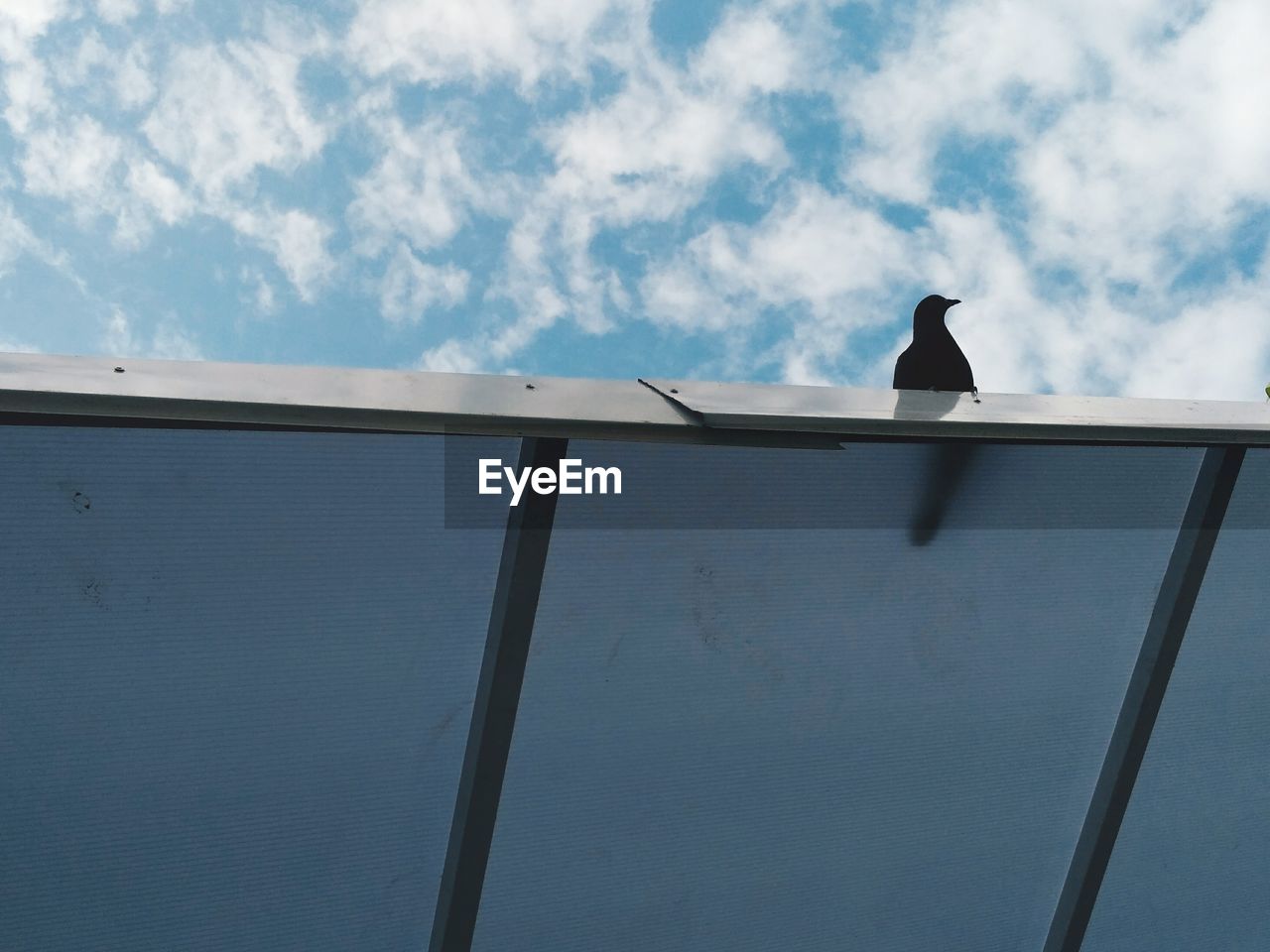 Low angle view of silhouette bird perching on roof against sky