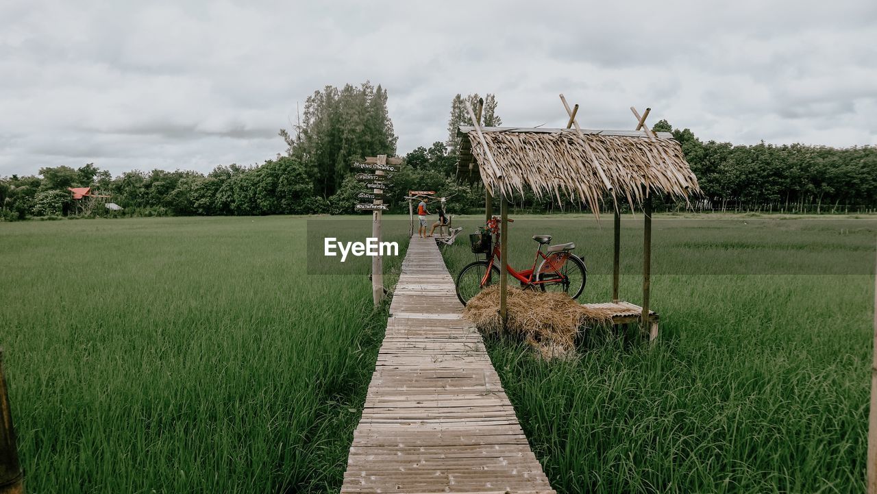 FOOTPATH AMIDST AGRICULTURAL FIELD AGAINST SKY