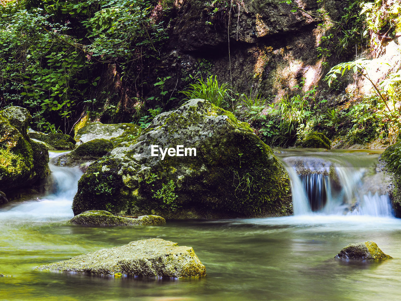 Scenic view of waterfall in forest