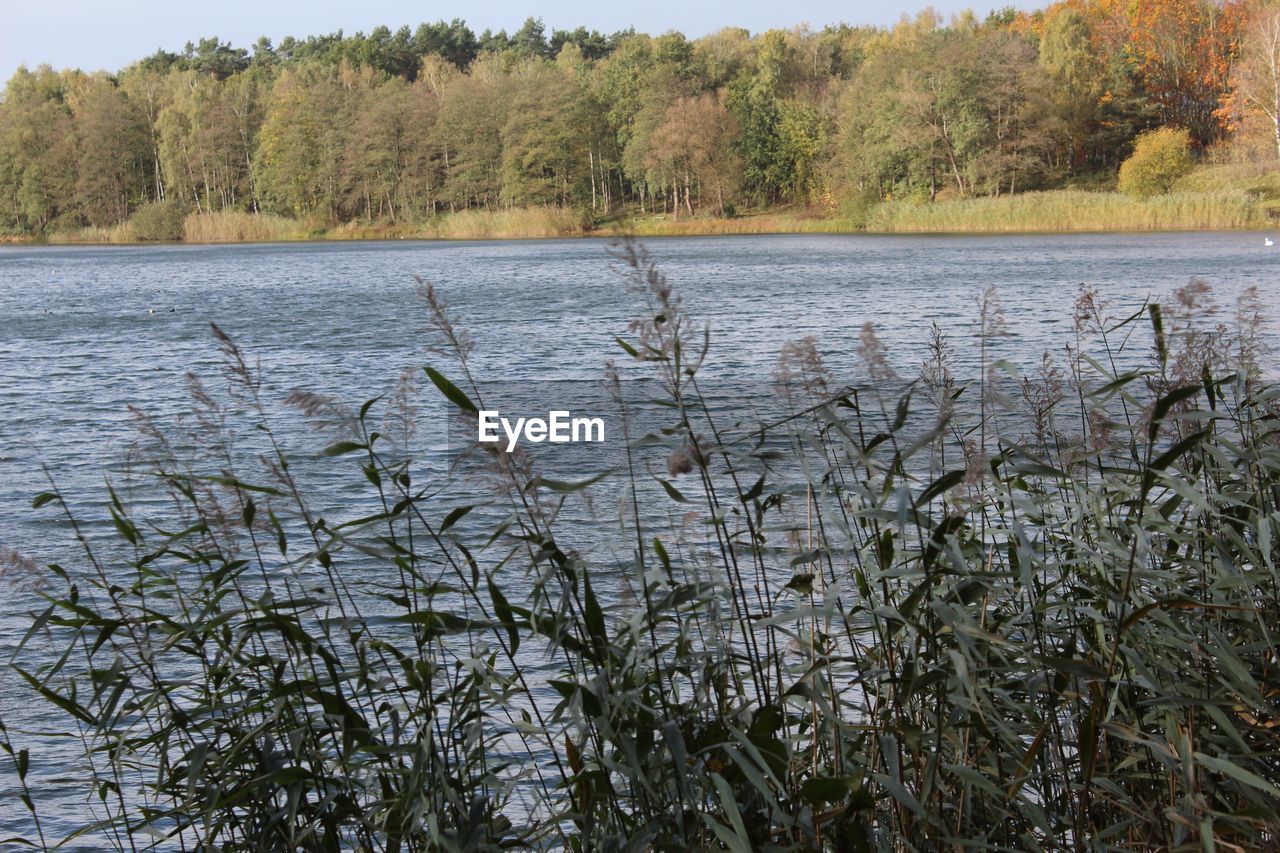 SCENIC VIEW OF RIVER AGAINST SKY