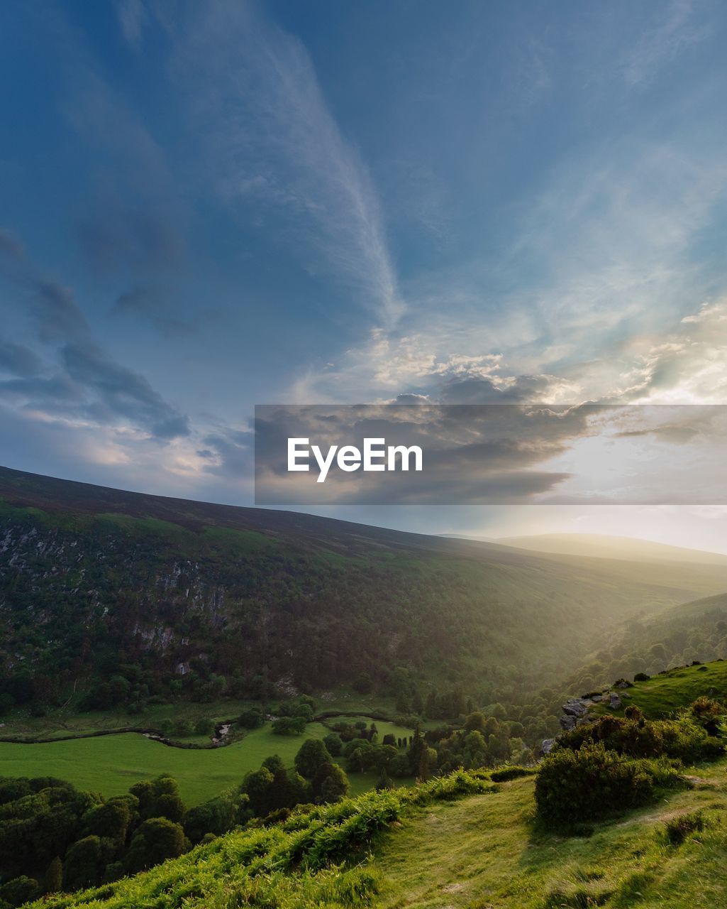 SCENIC VIEW OF GRASSY FIELD AGAINST SKY