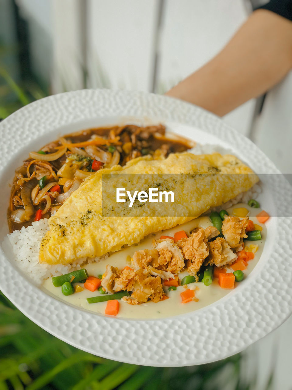 food, food and drink, healthy eating, dish, vegetable, produce, wellbeing, freshness, cuisine, one person, plate, meal, holding, focus on foreground, adult, crockery, close-up, meat, hand, rice - food staple, dinner, vegetarian food, breakfast, spice, fruit