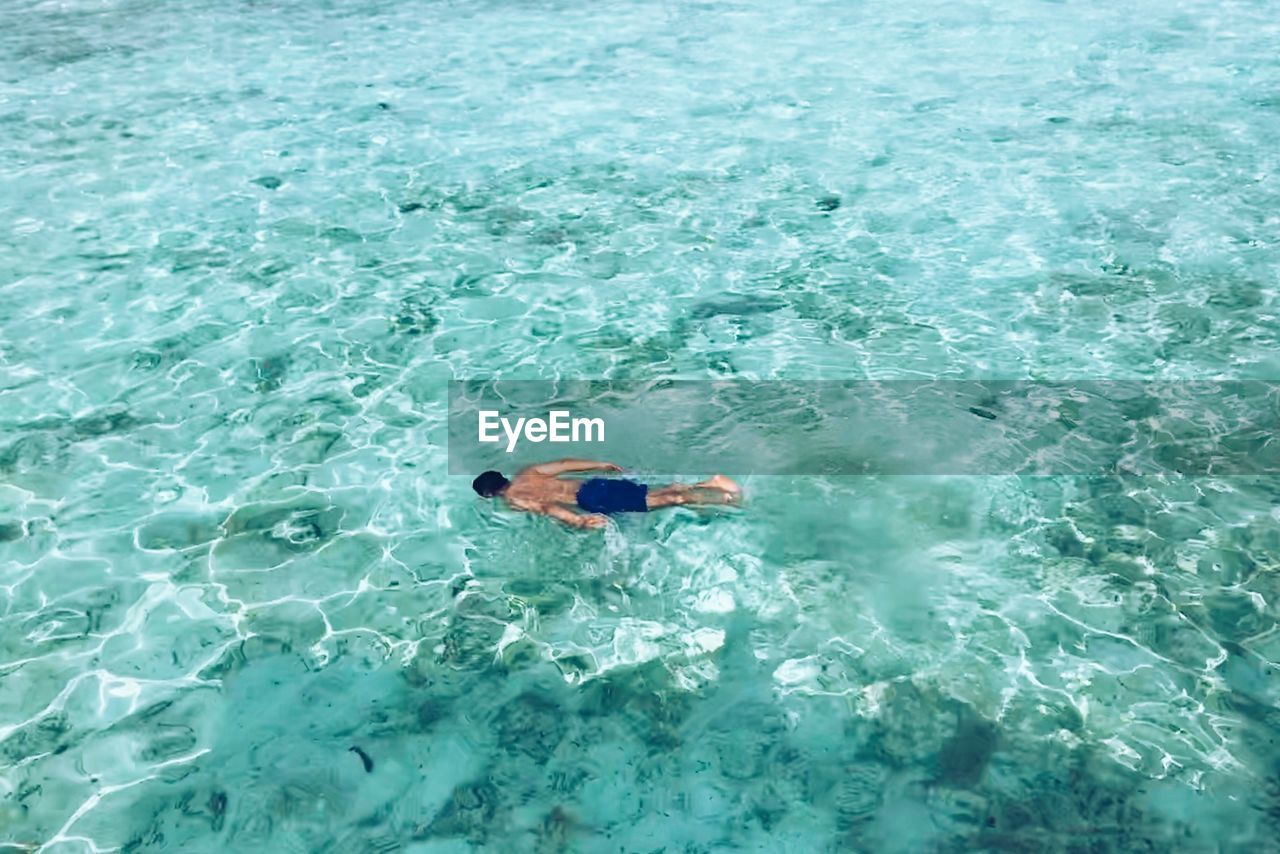 High angle view of man swimming in sea